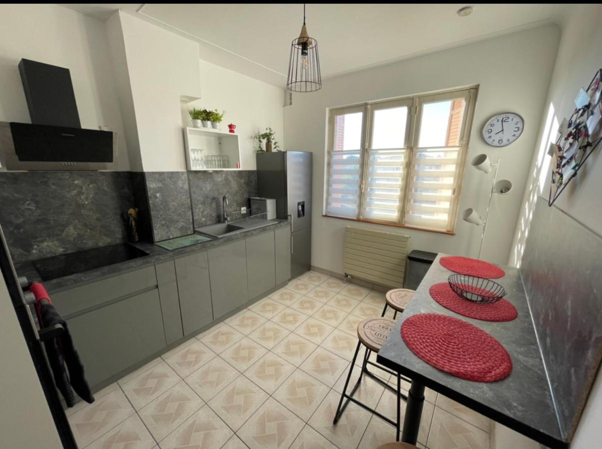 Tres Grand Appartement A 10 Min A Pied Du Centre Castres  Exterior photo
